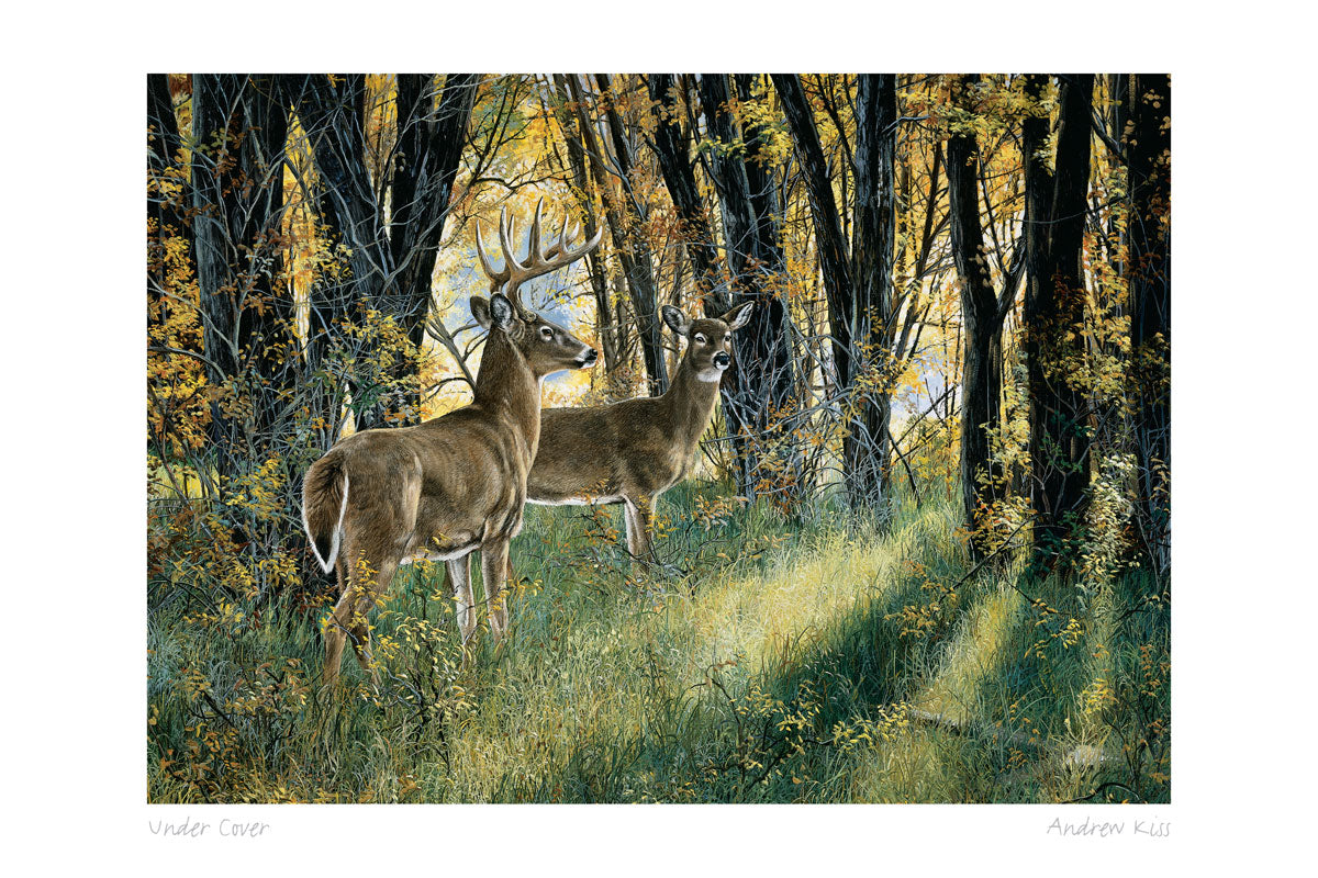 ANDREW KISS Framed Art Card Collection - Choose from a selection of 21 prints