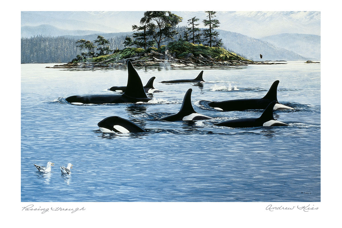 ANDREW KISS Framed Art Card Collection - Choose from a selection of 21 prints