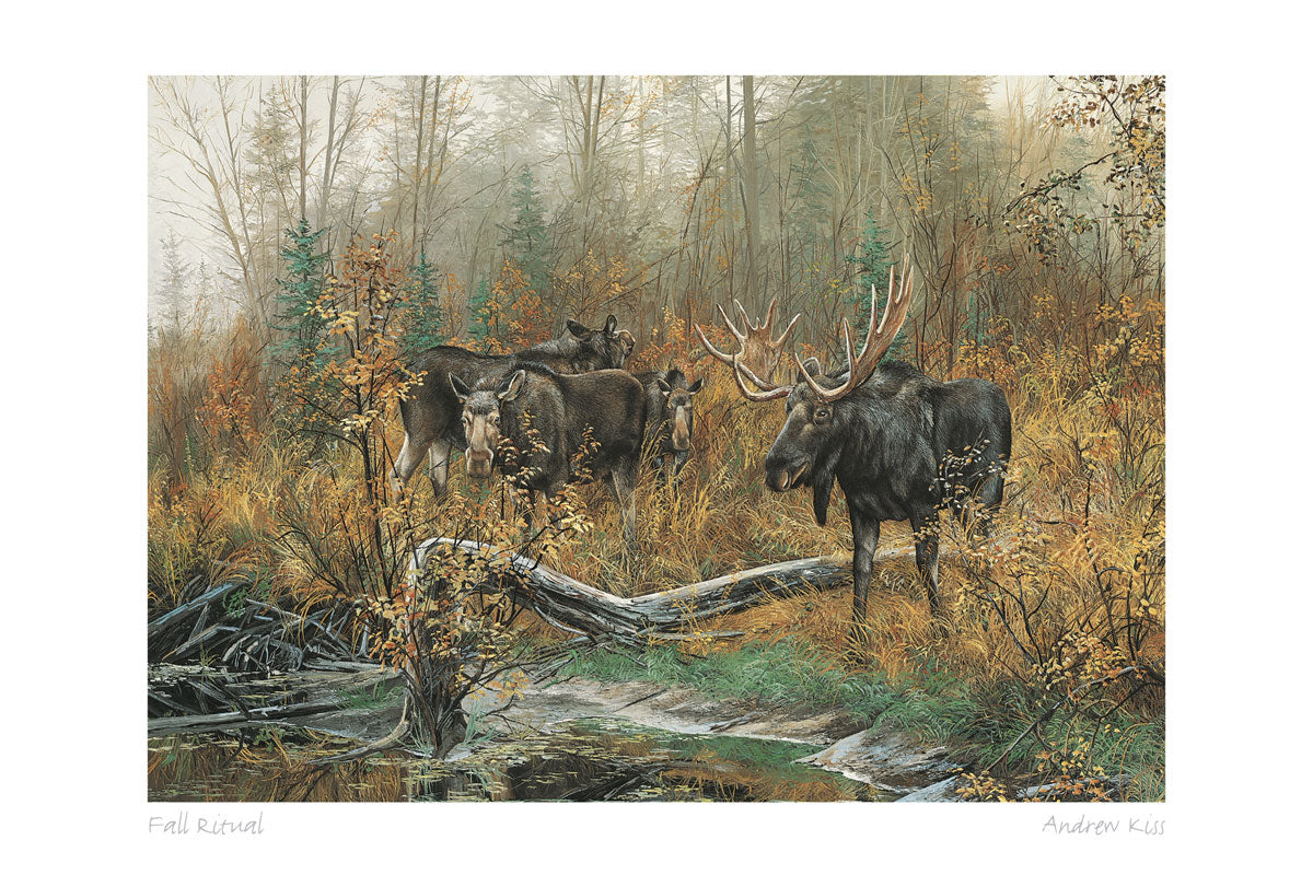 ANDREW KISS Framed Art Card Collection - Choose from a selection of 21 prints