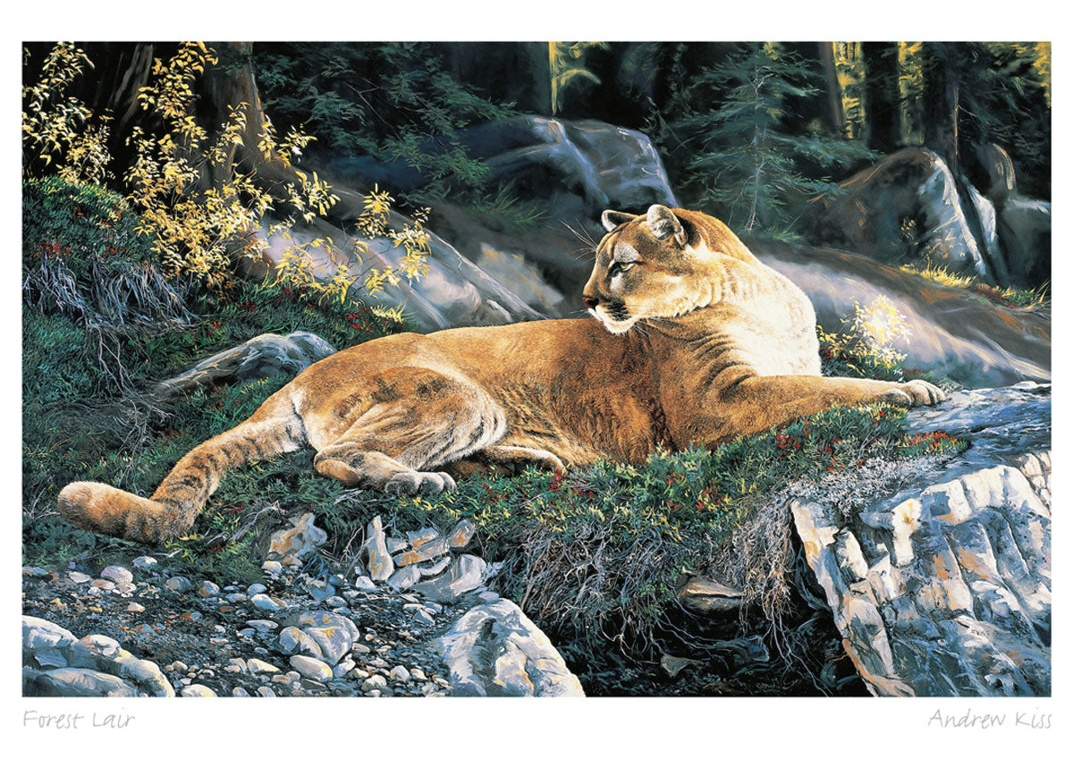 ANDREW KISS Framed Art Card Collection - Choose from a selection of 21 prints
