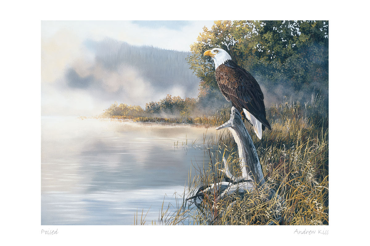 ANDREW KISS Framed Art Card Collection - Choose from a selection of 21 prints