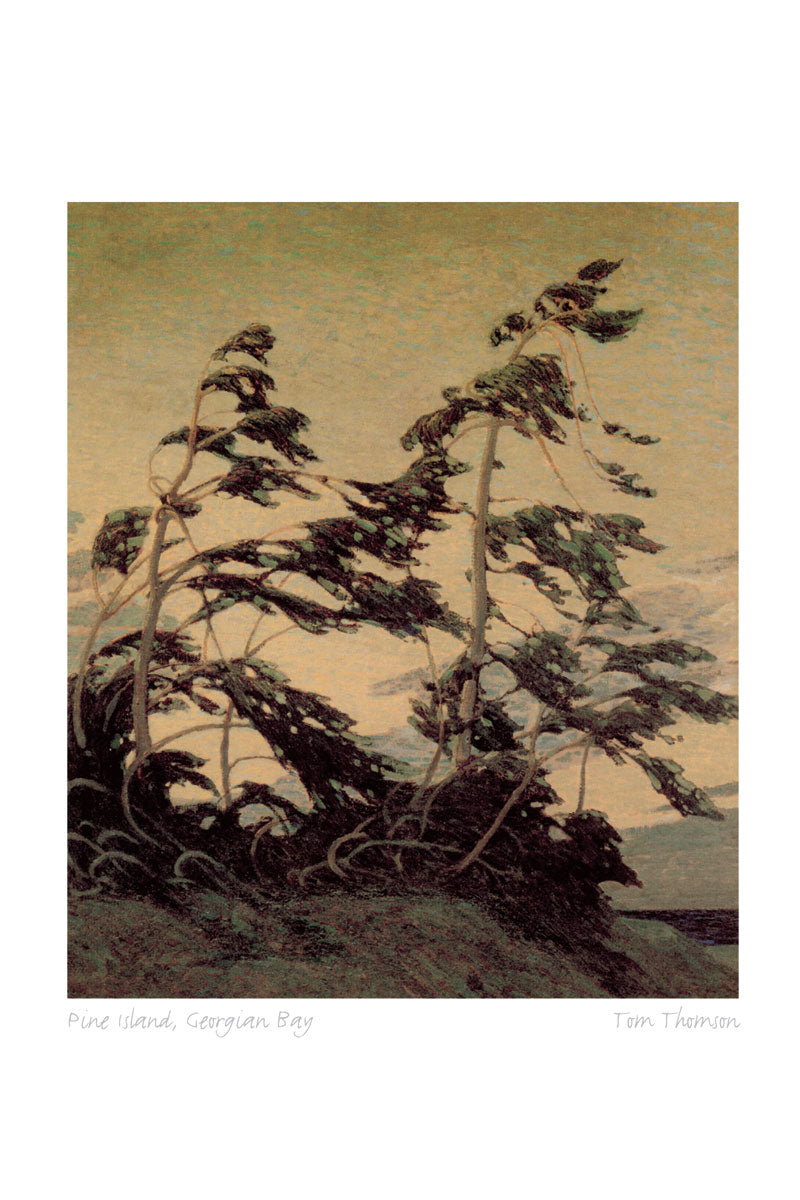 TOM THOMPSON Framed Art Card Collection - Choose from a selection of 13 prints