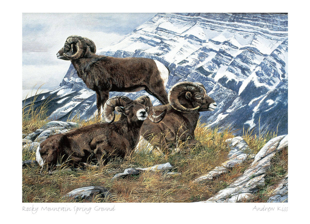 ANDREW KISS Framed Art Card Collection - Choose from a selection of 21 prints