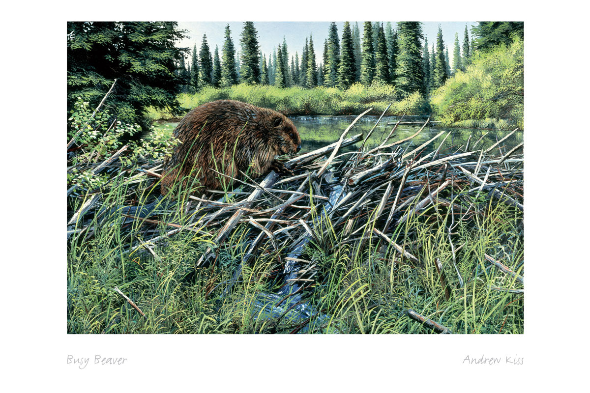 ANDREW KISS Framed Art Card Collection - Choose from a selection of 21 prints