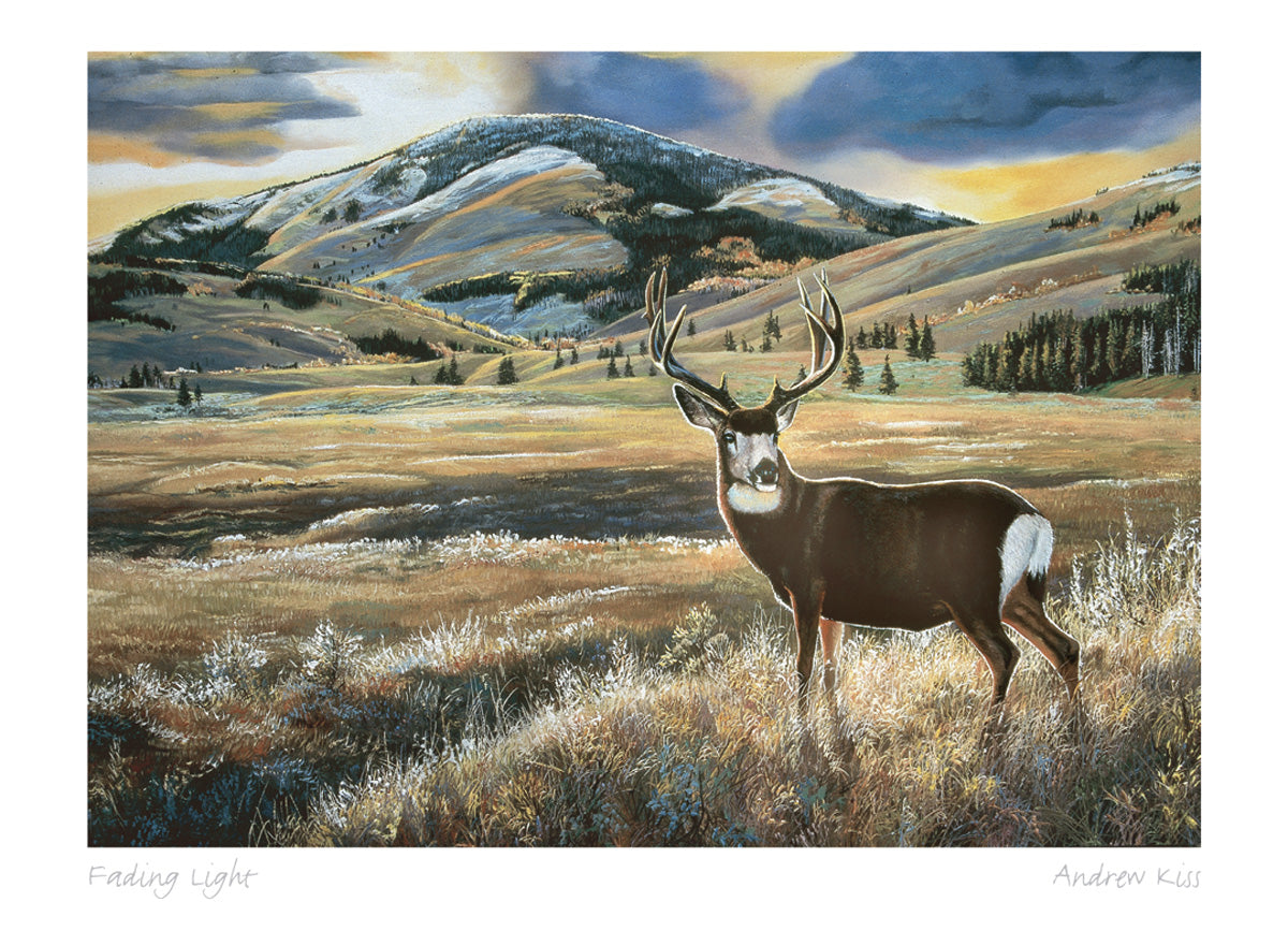ANDREW KISS Framed Art Card Collection - Choose from a selection of 21 prints