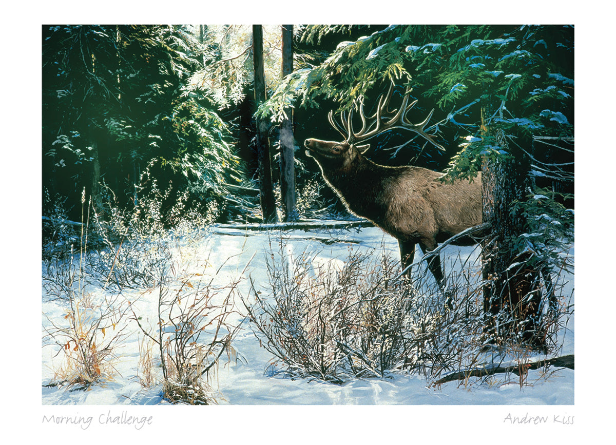 ANDREW KISS Framed Art Card Collection - Choose from a selection of 21 prints