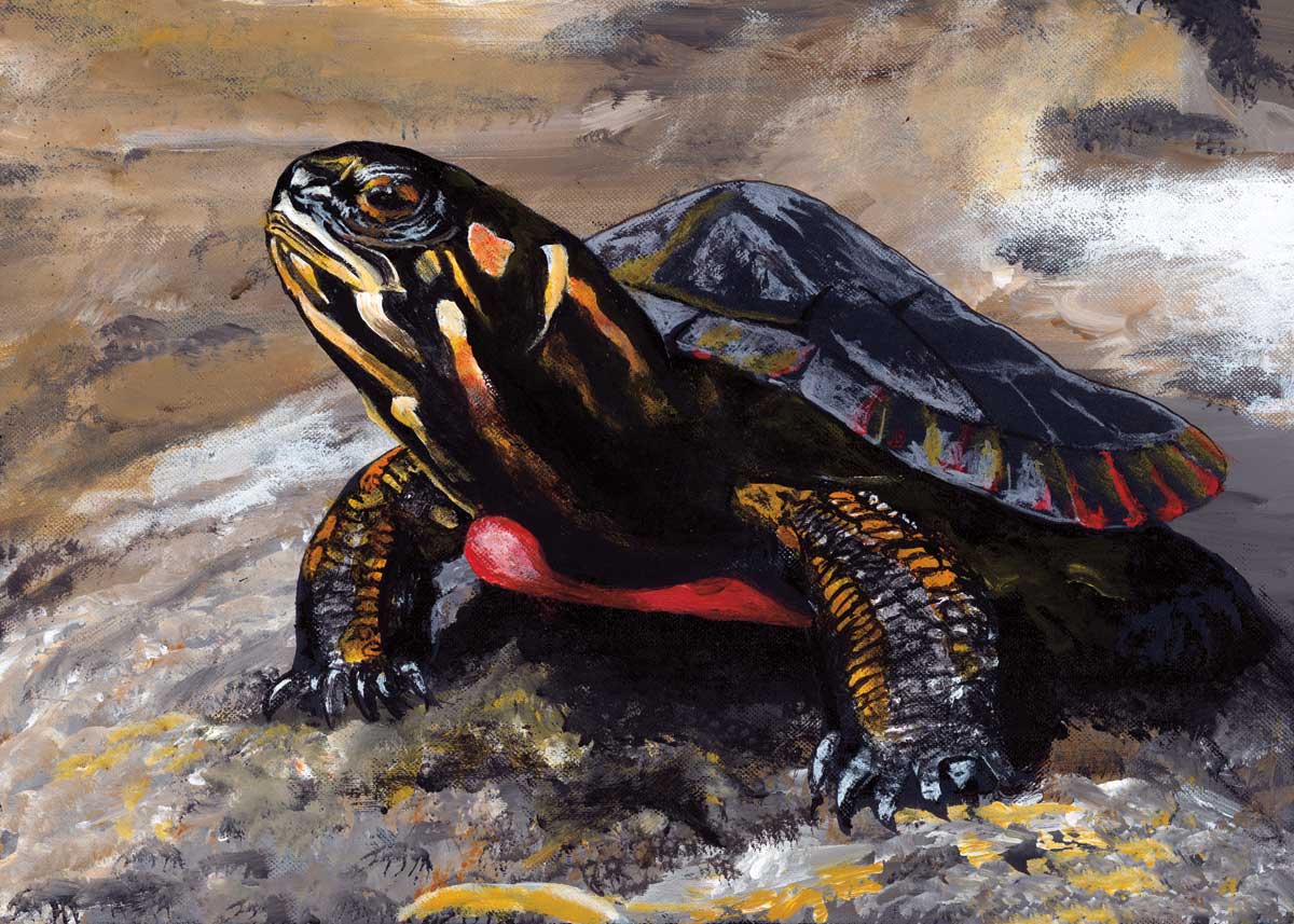 RICHARD SHORTY Framed Art Card Collection - Choose from a selection of 10 different prints