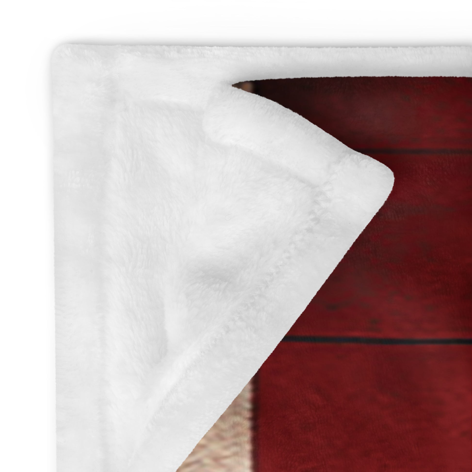 Canadian Indigenous Art on a blanket