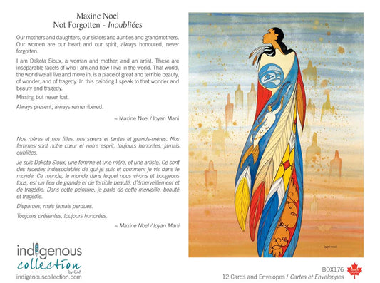 Box Set Note Cards - Not Forgotten by Indigenous Artist Maxine Noel
