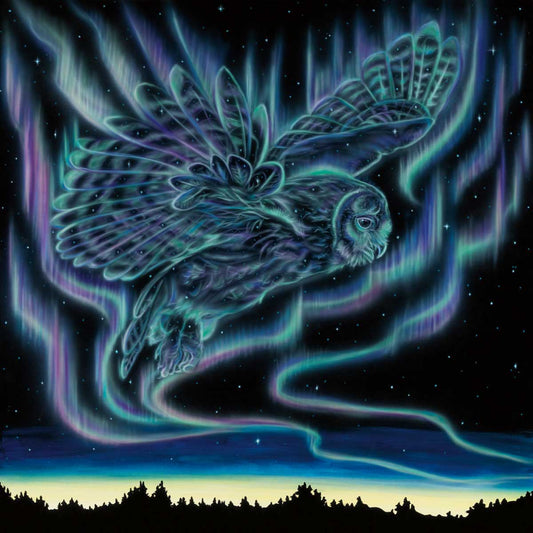 "Sky Dance - Owl" Art Card by Amy Keller Rempp